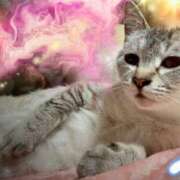 ヒメ日記 2025/05/10 01:02 投稿 猫村 艶妻