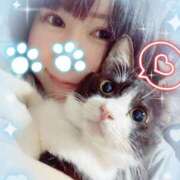 ヒメ日記 2025/05/12 01:05 投稿 猫村 艶妻