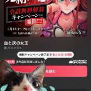 ヒメ日記 2025/05/13 23:59 投稿 猫村 艶妻