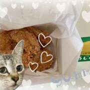 ヒメ日記 2025/05/14 00:00 投稿 猫村 艶妻