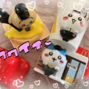 ヒメ日記 2025/05/16 09:45 投稿 猫村 艶妻