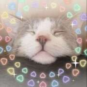 ヒメ日記 2025/05/28 12:11 投稿 猫村 艶妻