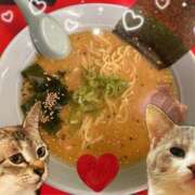 ヒメ日記 2025/05/29 01:32 投稿 猫村 艶妻