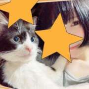 ヒメ日記 2025/05/29 01:35 投稿 猫村 艶妻