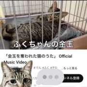 ヒメ日記 2025/05/30 18:47 投稿 猫村 艶妻