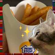 ヒメ日記 2025/06/01 00:02 投稿 猫村 艶妻