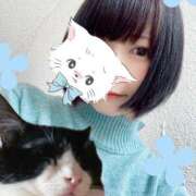 ヒメ日記 2025/06/01 00:08 投稿 猫村 艶妻