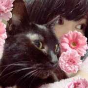 ヒメ日記 2025/06/01 00:12 投稿 猫村 艶妻