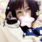 ヒメ日記 2025/06/13 01:20 投稿 猫村 艶妻