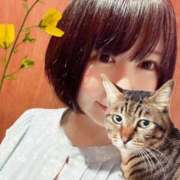 ヒメ日記 2025/06/15 00:31 投稿 猫村 艶妻