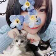 ヒメ日記 2025/06/22 03:05 投稿 猫村 艶妻