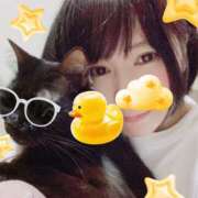 ヒメ日記 2025/06/22 03:10 投稿 猫村 艶妻