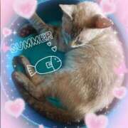 ヒメ日記 2025/07/06 02:19 投稿 猫村 艶妻