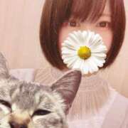 ヒメ日記 2025/07/06 02:20 投稿 猫村 艶妻