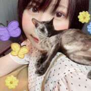 ヒメ日記 2025/07/16 23:51 投稿 猫村 艶妻