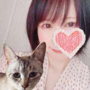 ヒメ日記 2025/07/19 10:04 投稿 猫村 艶妻