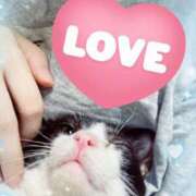 猫村 出勤予定 艶妻