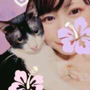 猫村 明日出勤します 艶妻