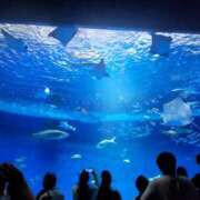 ゆきの 本日14時から🍀 ぽちゃSPA