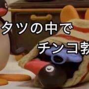 ヒメ日記 2024/12/17 10:03 投稿 なみ コスプレアカデミー