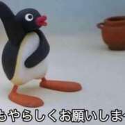 ヒメ日記 2025/01/12 11:43 投稿 なみ コスプレアカデミー