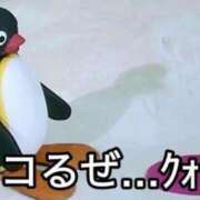 ヒメ日記 2025/01/24 10:03 投稿 なみ コスプレアカデミー