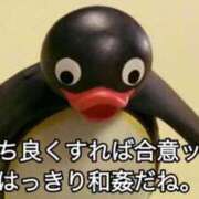 ヒメ日記 2025/01/25 09:53 投稿 なみ コスプレアカデミー