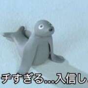 ヒメ日記 2025/03/27 01:53 投稿 なみ コスプレアカデミー