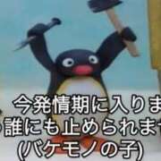 ヒメ日記 2025/11/28 11:04 投稿 なみ コスプレアカデミー