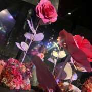 ヒメ日記 2025/04/20 16:17 投稿 日下部りょう(くさかべりょう) 鶯谷ナンバーワン