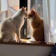 ヒメ日記 2025/05/26 20:49 投稿 日下部りょう(くさかべりょう) 鶯谷ナンバーワン