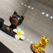 ヒメ日記 2025/08/12 12:50 投稿 日下部りょう(くさかべりょう) 鶯谷ナンバーワン