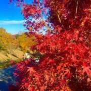 ヒメ日記 2025/11/24 21:20 投稿 日下部りょう(くさかべりょう) 鶯谷ナンバーワン