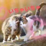 ヒメ日記 2025/12/07 12:50 投稿 日下部りょう(くさかべりょう) 鶯谷ナンバーワン