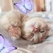 ヒメ日記 2026/03/01 14:54 投稿 日下部りょう(くさかべりょう) 鶯谷ナンバーワン