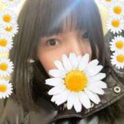 ヒメ日記 2025/02/22 01:55 投稿 りつ 熟女家 ミナミエリア店