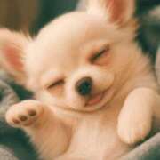 りつ ChatGPTの加工！ 熟女家 ミナミエリア店