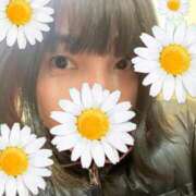 ヒメ日記 2026/03/10 21:35 投稿 りつ 熟女家 ミナミエリア店