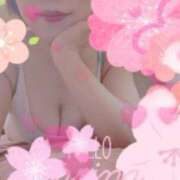 ヒメ日記 2025/11/04 11:55 投稿 前澤ゆうき 大人のエッチなエステ