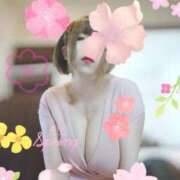 ヒメ日記 2025/11/26 21:49 投稿 前澤ゆうき 大人のエッチなエステ