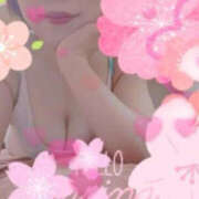 ヒメ日記 2026/02/11 11:29 投稿 前澤ゆうき 大人のエッチなエステ