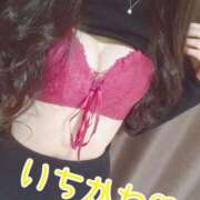 ヒメ日記 2025/11/29 12:05 投稿 市川（いちかわ） 素人人妻オフィス旭店