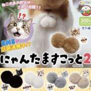 ヒメ日記 2026/04/03 10:37 投稿 るか ファンタジー