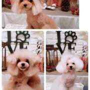 ヒメ日記 2025/03/27 11:59 投稿 麻宮杏子 白夜