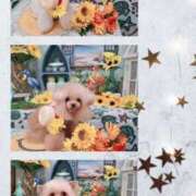 ヒメ日記 2025/08/25 20:27 投稿 麻宮杏子 白夜