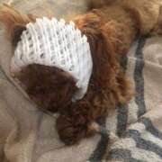 ヒメ日記 2025/09/16 09:05 投稿 麻宮杏子 白夜