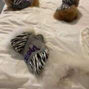 ヒメ日記 2025/11/14 10:54 投稿 麻宮杏子 白夜