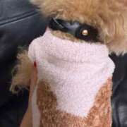 ヒメ日記 2025/12/08 01:09 投稿 麻宮杏子 白夜