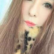 ヒメ日記 2025/12/11 05:23 投稿 麻宮杏子 白夜