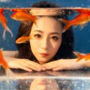 ヒメ日記 2025/12/22 07:01 投稿 麻宮杏子 白夜